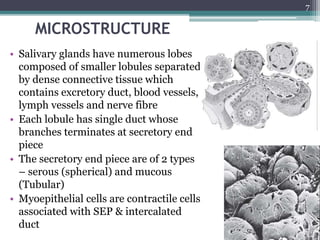 MICROSTRUCTURE
• Salivary glands have numerous lobes
composed of smaller lobules separated
by dense connective tissue which
contains excretory duct, blood vessels,
lymph vessels and nerve fibre
• Each lobule has single duct whose
branches terminates at secretory end
piece
• The secretory end piece are of 2 types
– serous (spherical) and mucous
(Tubular)
• Myoepithelial cells are contractile cells
associated with SEP & intercalated
duct
7
 