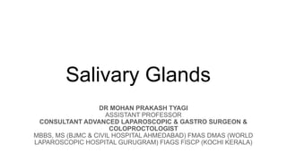 Salivary glands ANATOMYPRESENATATION BY DR MG | PPTX