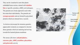 Salivary Glands histology power point ppt | PPTX