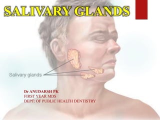 SALIVARY GLANDS
Dr ANUDARSH PK
FIRST YEAR MDS
DEPT: OF PUBLIC HEALTH DENTISTRY
 