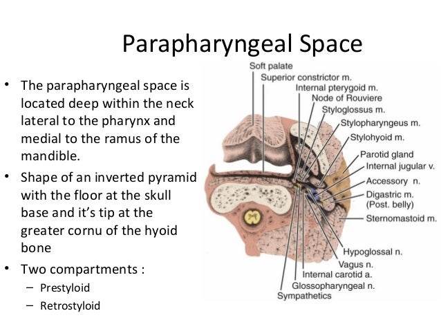 Nasopharyngeal Carcinoma