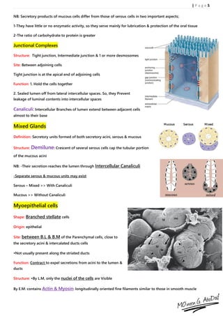 Handout of Salivary Glands Histology | PDF