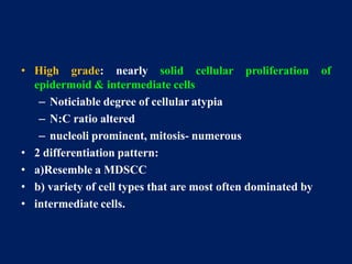 • High grade: nearly solid cellular proliferation of
epidermoid & intermediate cells
– Noticiable degree of cellular atypia
– N:C ratio altered
– nucleoli prominent, mitosis- numerous
• 2 differentiation pattern:
• a)Resemble a MDSCC
• b) variety of cell types that are most often dominated by
• intermediate cells.
 