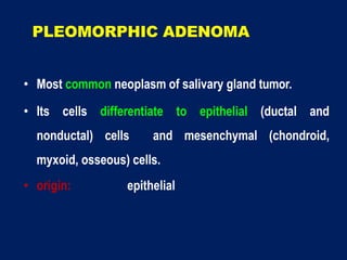 PLEOMORPHIC ADENOMA
• Most common neoplasm of salivary gland tumor.
• Its cells differentiate to epithelial (ductal and
nonductal) cells and mesenchymal (chondroid,
myxoid, osseous) cells.
• origin: epithelial
 