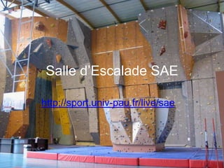 Salle d’Escalade SAE

http://sport.univ-pau.fr/live/sae
 