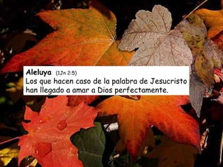 Aleluya    (1Jn 2:5)    Los que hacen caso de la palabra de Jesucristo han llegado a amar a Dios perfectamente. 