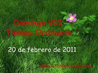 20 de febrero de 2011 Domingo VII  Tiempo Ordinario Música: Salmo gregoriano 