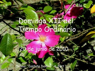 Ciclo C  Domingo XII del  Tiempo Ordinario 20 de junio de 2010  Salmo: “Cantate Domino” A. Pärt  
