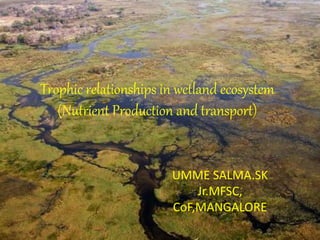 Trophic relationships in wetland ecosystem
(Nutrient Production and transport)
UMME SALMA.SK
Jr.MFSC,
CoF,MANGALORE
 