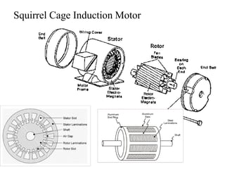 Squirrel Cage Induction Motor
 