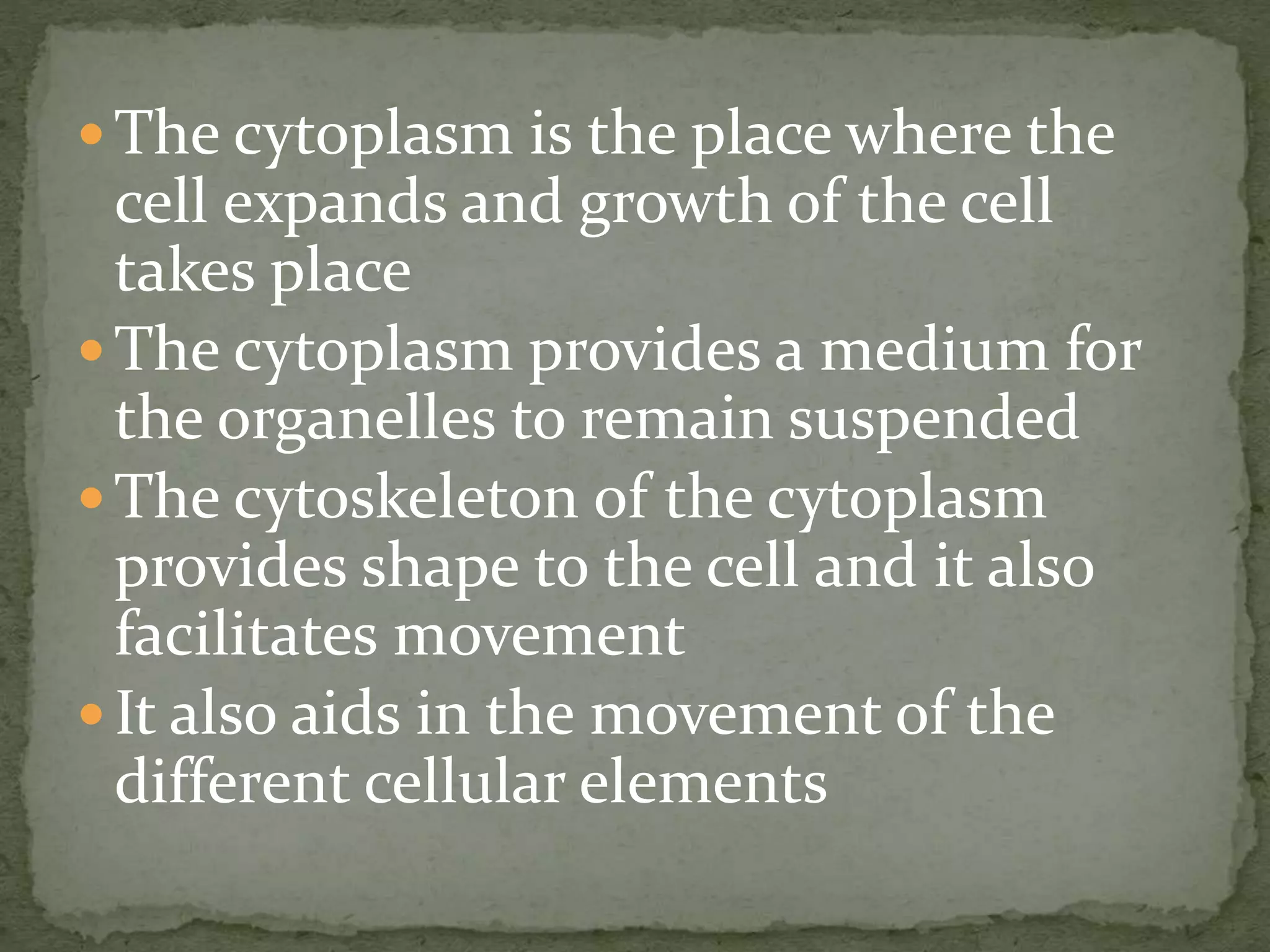  The cytoplasm is the place where the
cell expands and growth of the cell
takes place
 The cytoplasm provides a medium for
the organelles to remain suspended
 The cytoskeleton of the cytoplasm
provides shape to the cell and it also
facilitates movement
 It also aids in the movement of the
different cellular elements
 