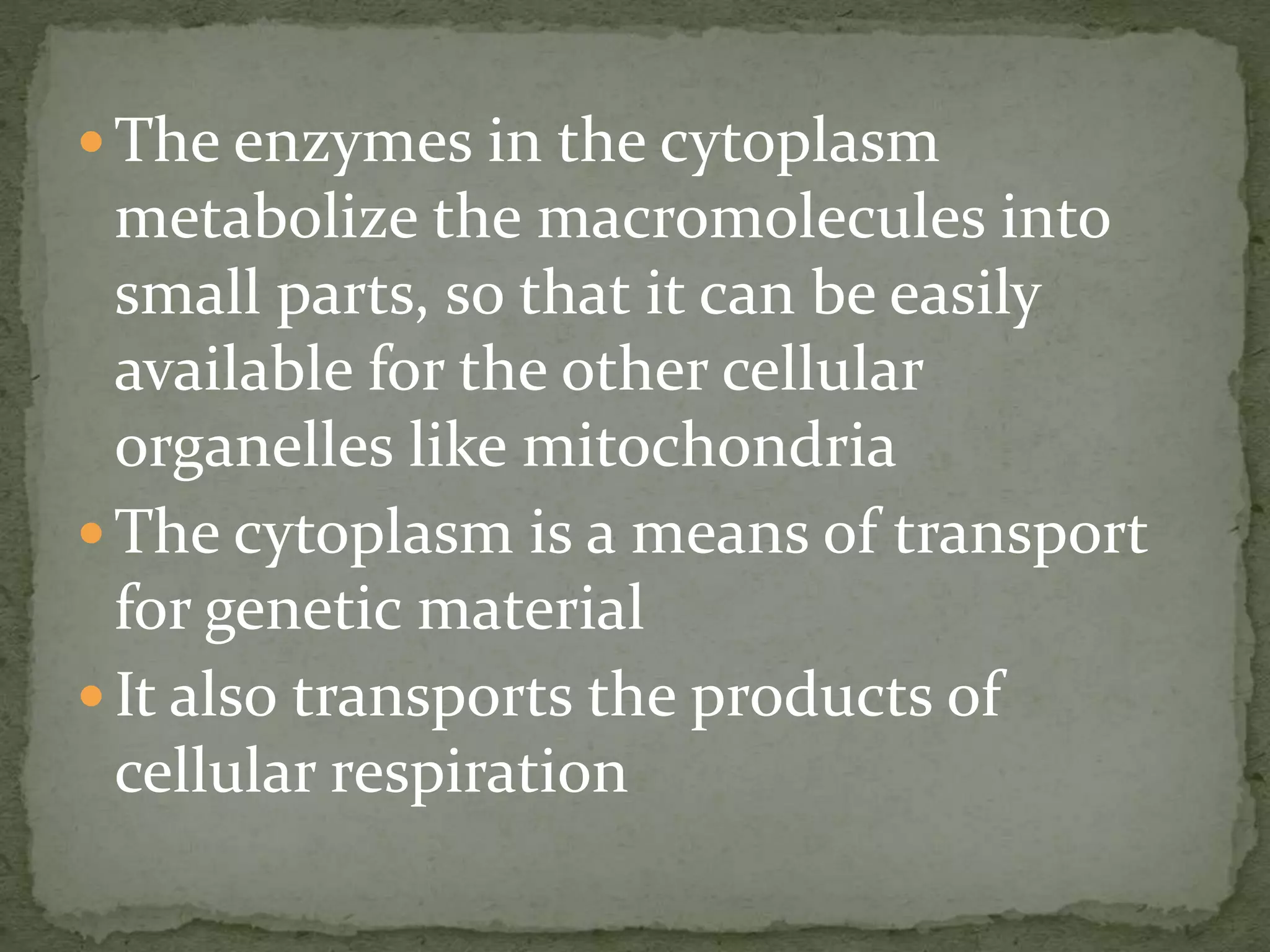  The enzymes in the cytoplasm
metabolize the macromolecules into
small parts, so that it can be easily
available for the other cellular
organelles like mitochondria
 The cytoplasm is a means of transport
for genetic material
 It also transports the products of
cellular respiration
 