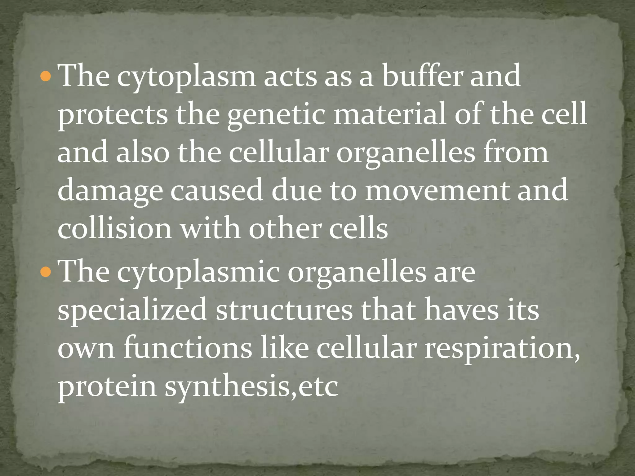  The cytoplasm acts as a buffer and
protects the genetic material of the cell
and also the cellular organelles from
damage caused due to movement and
collision with other cells
 The cytoplasmic organelles are
specialized structures that haves its
own functions like cellular respiration,
protein synthesis,etc
 