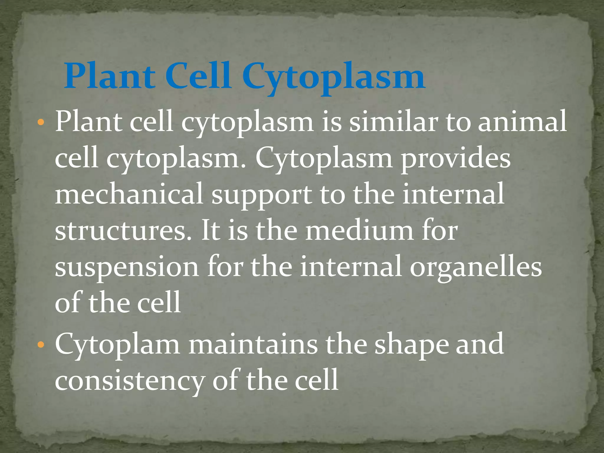 Plant Cell Cytoplasm
• Plant cell cytoplasm is similar to animal
cell cytoplasm. Cytoplasm provides
mechanical support to the internal
structures. It is the medium for
suspension for the internal organelles
of the cell
• Cytoplam maintains the shape and
consistency of the cell
 