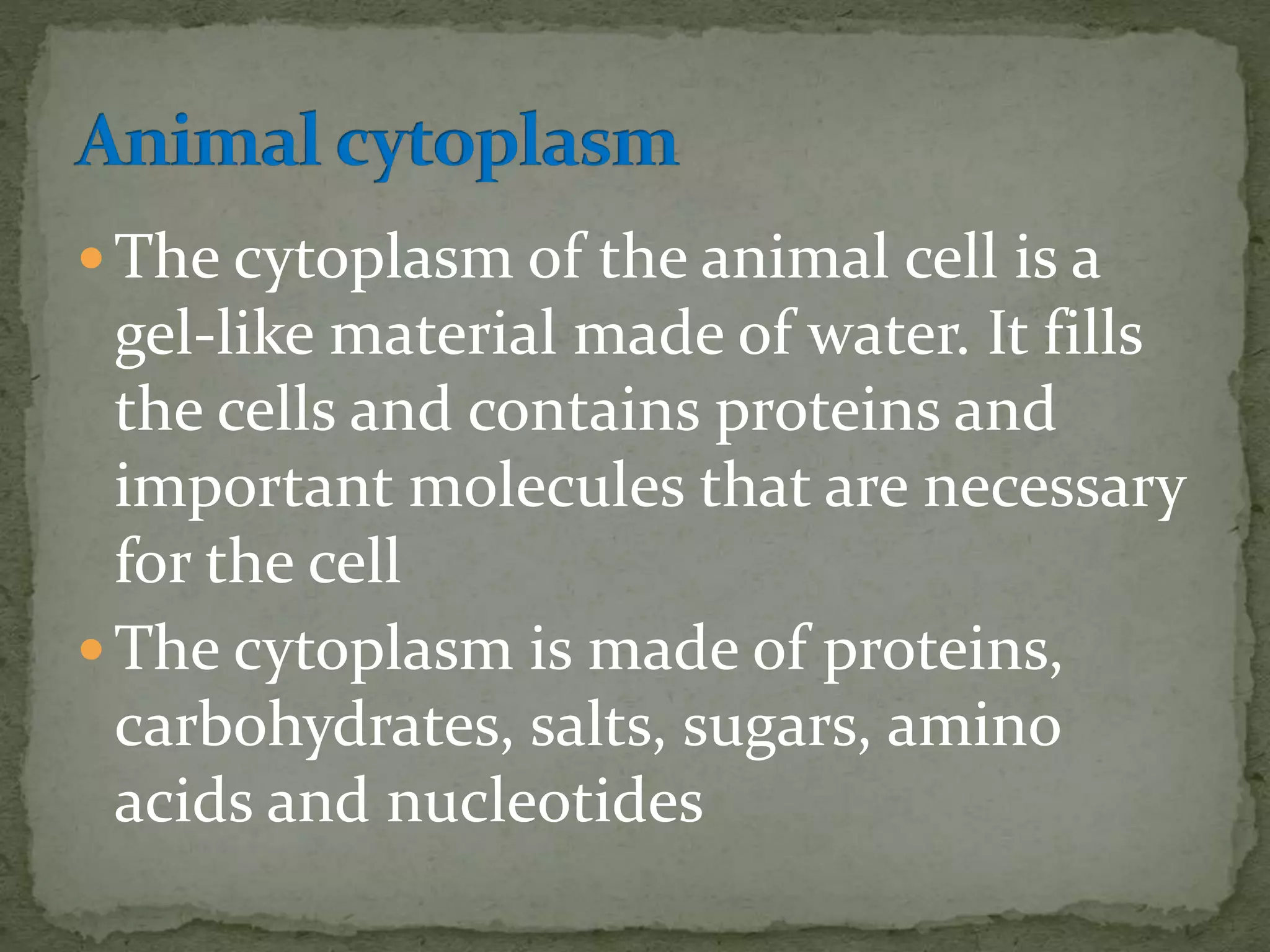  The cytoplasm of the animal cell is a
gel-like material made of water. It fills
the cells and contains proteins and
important molecules that are necessary
for the cell
 The cytoplasm is made of proteins,
carbohydrates, salts, sugars, amino
acids and nucleotides
 