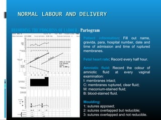 Normal Labour by Dr Salman | PPT