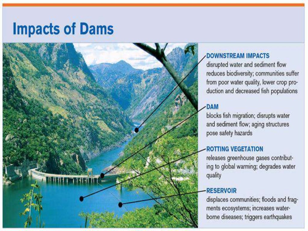 DAMS AND THIER ENVIRONMENTAL IMPACTS