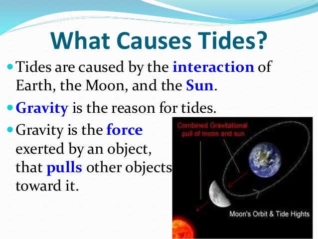 tides geology what causes tides