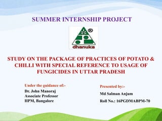 SUMMER INTERNSHIP PROJECT
Under the guidance of:-
Dr. John Manoraj
Associate Professor
IIPM, Bangalore
Presented by:-
Md Salman Anjum
Roll No.: 16PGDMABPM-70
STUDY ON THE PACKAGE OF PRACTICES OF POTATO &
CHILLI WITH SPECIAL REFERENCE TO USAGE OF
FUNGICIDES IN UTTAR PRADESH
 