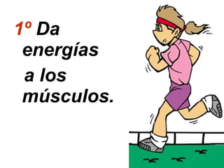 1º  Da energías  a los músculos.  