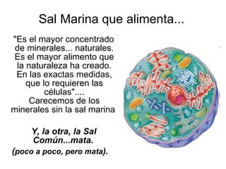Sal Marina que alimenta... "Es el mayor concentrado de minerales... naturales. Es el mayor alimento que la naturaleza ha creado. En las exactas medidas, que lo requieren las células".... Carecemos de los minerales sin la sal marina  Y, la otra, la Sal Común...mata.  ( poco a poco, pero mata ). 