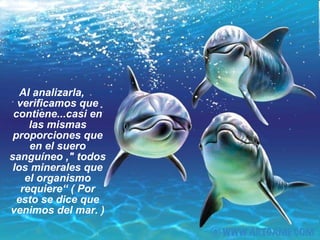 Al analizarla, verificamos que contiene...casi en las mismas proporciones que en el suero sanguíneo ," todos los minerales que el organismo requiere“ ( Por esto se dice que venimos del mar. ) 