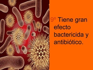 9º Tiene gran
 efecto
 bactericida y
 antibiótico.
 