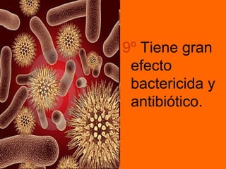 9º Tiene gran
efecto
bactericida y
antibiótico.

 