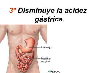 3º Disminuye la acidez
gástrica.
 