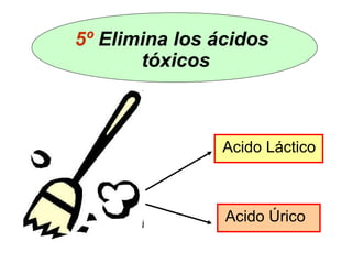 Acido Úrico
Acido Láctico
5º Elimina los ácidos
tóxicos
 