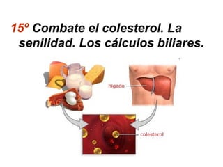 15º Combate el colesterol. La
senilidad. Los cálculos biliares.
 