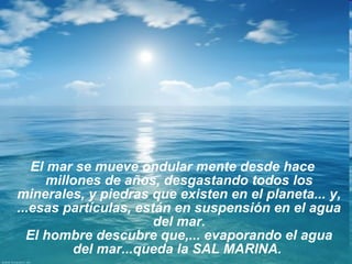 El mar se mueve ondular mente desde hace
millones de años, desgastando todos los
minerales, y piedras que existen en el planeta... y,
...esas partículas, están en suspensión en el agua
del mar.
El hombre descubre que,... evaporando el agua
del mar...queda la SAL MARINA.
 