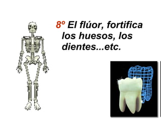 8º El flúor, fortifica
 los huesos, los
 dientes...etc.
 
