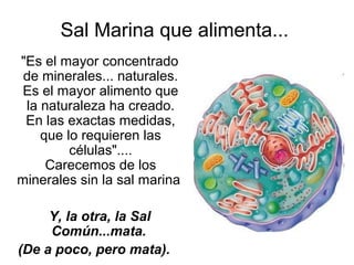 Sal Marina que alimenta...
"Es el mayor concentrado
 de minerales... naturales.
 Es el mayor alimento que
 la naturaleza ha creado.
 En las exactas medidas,
    que lo requieren las
         células"....
     Carecemos de los
minerales sin la sal marina

     Y, la otra, la Sal
     Común...mata.
(De a poco, pero mata).
 