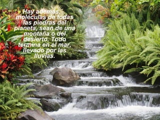 Hay además,
moléculas de todas
   las piedras del
planeta, sean de una
   montaña o del
   desierto. Todo
 termina en el mar,
   llevado por las
       lluvias.
 