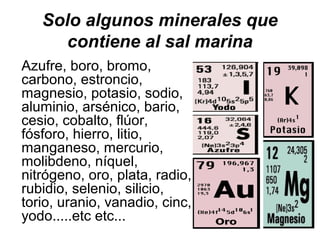 Solo algunos minerales que
     contiene al sal marina
Azufre, boro, bromo,
carbono, estroncio,
magnesio, potasio, sodio,
...