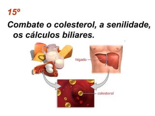 15º
Combate o colesterol, a senilidade,
os cálculos biliares.

 