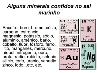 Alguns minerais contidos no sal
marinho
Enxofre, boro, bromo, césio,
carbono, estroncio,
magnesio, potassio, sodio,
aluminio, arsénico, bario,
cobalto, flúor, fósforo, ferro,
litio, manganês, mercurio,
níquel, nitrogenio, ouro,
prata, radio, rubidio, selenio,
silicio, torio, uranio, vanadio,
zinco, iodo...etc, etc.

 