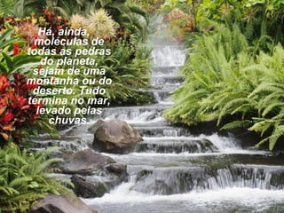Há, ainda,
moléculas de
todas as pedras
do planeta,
sejam de uma
montanha ou do
deserto. Tudo
termina no mar,
levado pelas
chuvas.

 