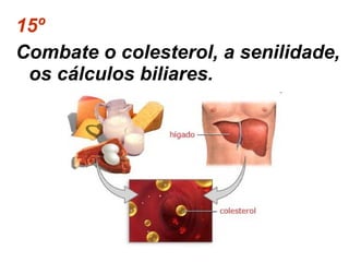15º  Combate o colesterol, a senilidade, os cálculos biliares.  