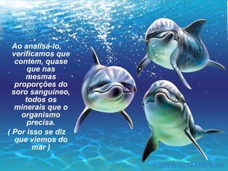 Ao analisá-lo, verificamos que contem, quase que nas mesmas proporções do soro sanguíneo, todos os minerais que o organismo precisa. ( Por isso se diz que viemos do mar ) 