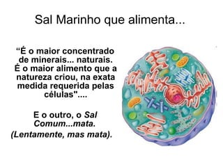 Sal Marinho que alimenta... <ul><li>“ É o maior concentrado de minerais... naturais. É o maior alimento que a natureza cri...