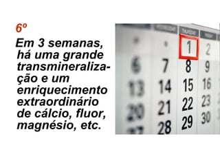 6º
Em 3 semanas,
há uma grande
transmineraliza-
ção e um
enriquecimento
extraordinário
de cálcio, fluor,
magnésio, etc.
 