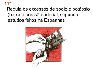 11º
 Regula os excessos de sódio e potássio
 (baixa a pressão arterial, segundo
 estudos feitos na Espanha).
 