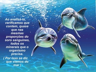Ao analisá-lo,
  verificamos que
   contem, quase
       que nas
      mesmas
   proporções do
  soro sanguíneo,
      todos os
   minerais que o
     organismo
       precisa.
( Por isso se diz
   que viemos do
        mar )
 