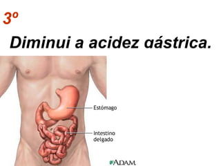 3º 
Diminui a acidez gástrica. 
 
