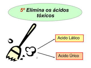 5º Elimina os ácidos 
Acido Lático 
Acido Úrico 
tóxicos 
 