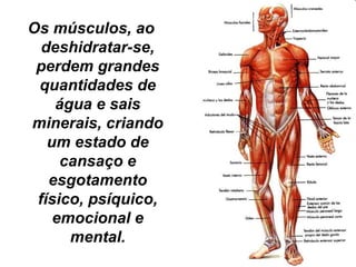 Os músculos, ao 
deshidratar-se, 
perdem grandes 
quantidades de 
água e sais 
minerais, criando 
um estado de 
cansaço e 
esgotamento 
físico, psíquico, 
emocional e 
mental. 
 