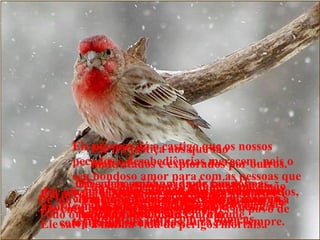   Dê louvores ao Senhor, ó minha alma! Todo o meu ser louve o seu santo nome. Louve ao Senhor, ó minha alma, e não esqueça nenhuma das bênçãos que Ele me deu. Ele perdoa todos os meus pecados. Ele cura todas as minhas doenças. Ele salva a minha vida de perigos mortais. Ele me cerca de amor fiel e se interessa por mim com muita ternura. Ele enche minha vida de coisas boas. A minha juventude se renova como as penas da águia. Ele fez justiça aos que são maltratados e explorados por outros. Ele revelou a sua vontade a Moisés, e mostrou grandes milagres ao povo de Israel. O Senhor é cheio de amor e perdão; Ele é muito paciente e cheio de boas intenções para com os homens. O Senhor não castiga o homem por toda a vida; A sua ira não dura para sempre. Ele não nos dá o castigo que os nossos pecados e desobediências merecem, pois o seu bondoso amor para com as pessoas que o amam e lhe obedecem é muito grande;  é maior que a distância entre o céu e a terra. Ele afasta de nós as nossas culpas pelos pecados, tanto quanto o leste está afastado do oeste. O Senhor sente um amor bondoso e uma compreensão especial por quem o respeita e lhe obedece. Ele é como um pai, que ama e compreende seus filhos. 