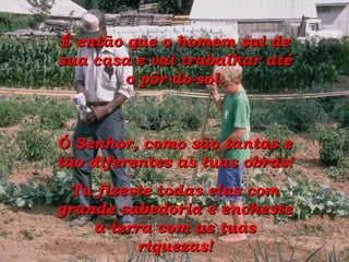 É então que o homem sai de sua casa e vai trabalhar até o pôr-do-sol. Ó Senhor, como são tantas e tão diferentes as tuas obras! Tu fizeste todas elas com grande sabedoria e encheste a terra com as tuas riquezas! 